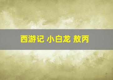 西游记 小白龙 敖丙